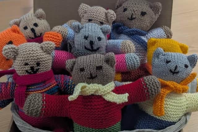 The bears were donated to Skegness Police by a local knitting group.