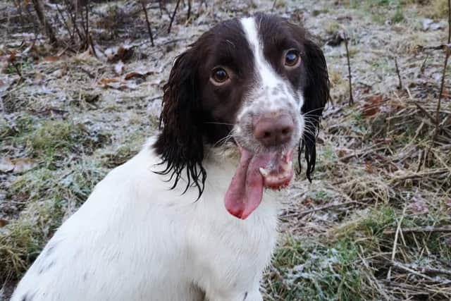 Isla is missing from Louth.