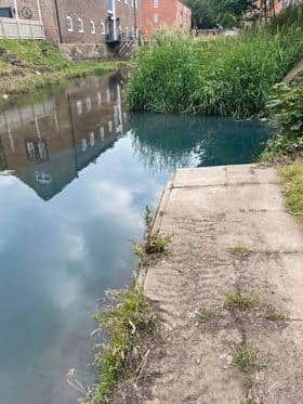 The sewerage in Louth canal. Photos supplied.