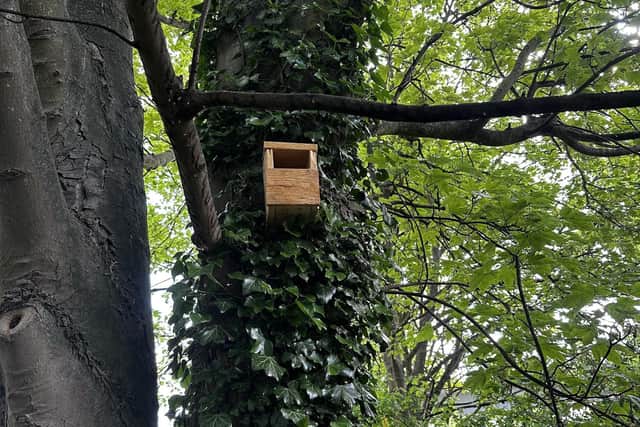 Year 9 students made bird boxes which have been placed around the site in a bid to attract birds