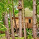 Owl Box - one of Treetop Hideaways' signature treehouses