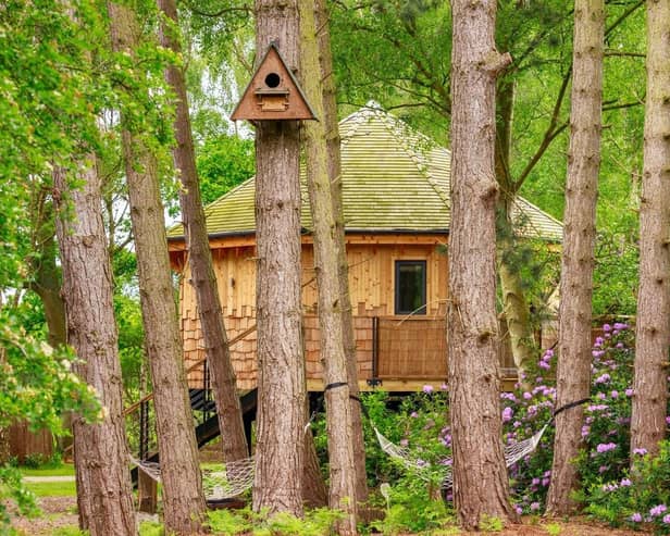 Owl Box - one of Treetop Hideaways' signature treehouses