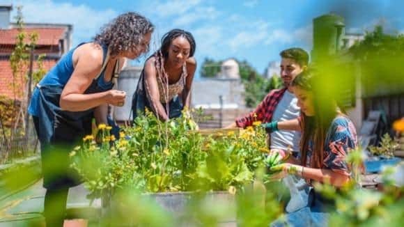 National Grid Electricity Distribution (NGED) is offering grants to help create or enhance community green spaces