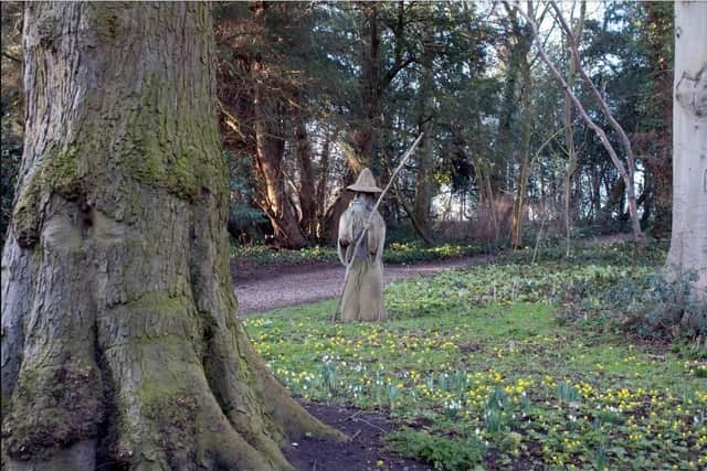 Snowdrops and aconites at Hackthorn Hall in a previous year. Photo: Dianne Tuckett