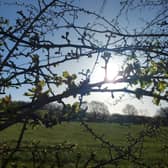 ​Here's a delightful early morning nature shot, taken and sent in by Brinsley's Andrew Eyre.