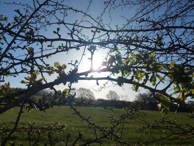 ​Here's a delightful early morning nature shot, taken and sent in by Brinsley's Andrew Eyre.