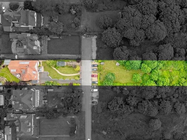 A bird's-eye view of the home and plot.