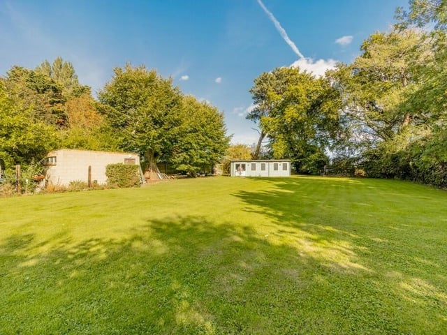 More of the rear garden.