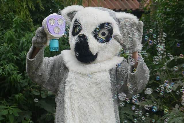 Meet Lizzie the Lemur, conservation mascot at the Tropical Butterfly House!