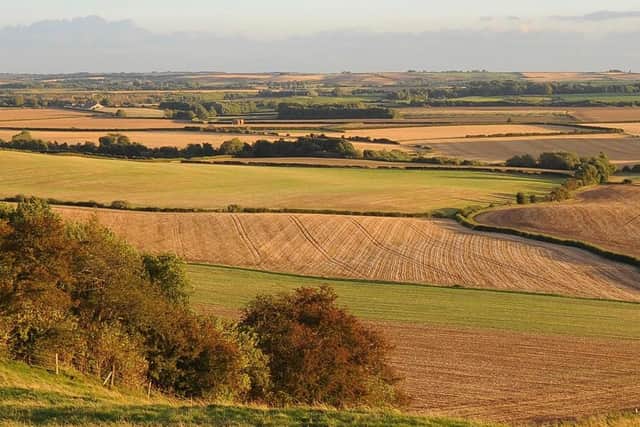 The Red Hill Nature Reserve at Stenigot Top in Stenigot. (PHOTO BY: Visit LIncolnshire)