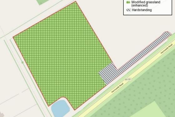 The proposed development layout. Image: ELDC