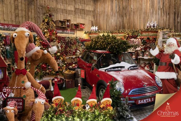 Christmas Magic comes to Brigg Garden Centre