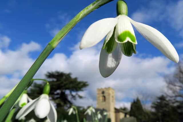 Catherine Baldwin captured this impressive shot of a snowdrop, looking like its towering over St Peter and St Paul’s Church in Kettlethorpe.