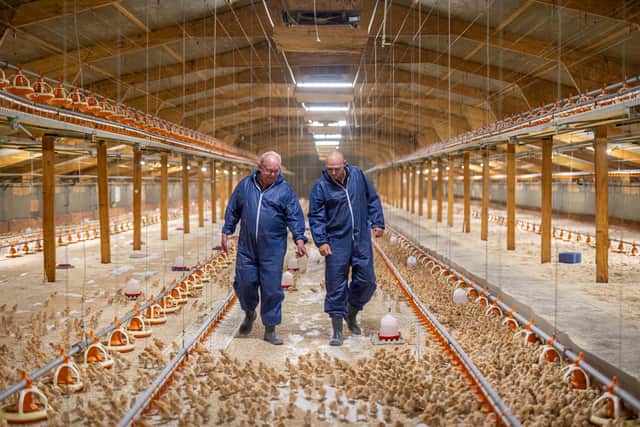 Better Eggs, a high-welfare range, is currently the only UK egg brand to give hens more space than legally required.
