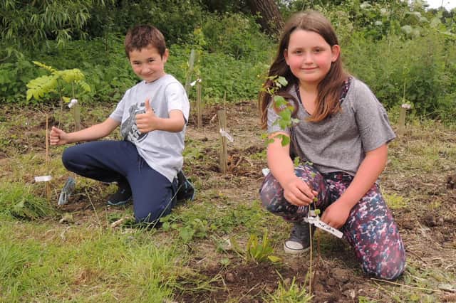 Planting a tree each for the jubilee. Alex and Merida, both aged eight, at Billinghay playing field.