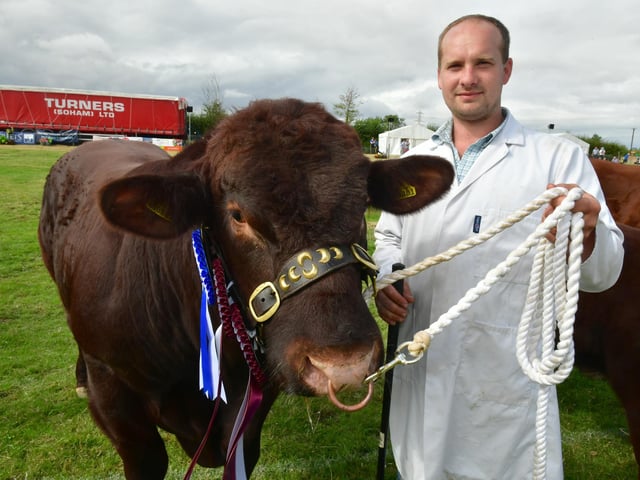 Grand Parade of Livestock and Heavy Horses. Barry Holden of Spilsby with his Champion male and Champion Junior (under 2)