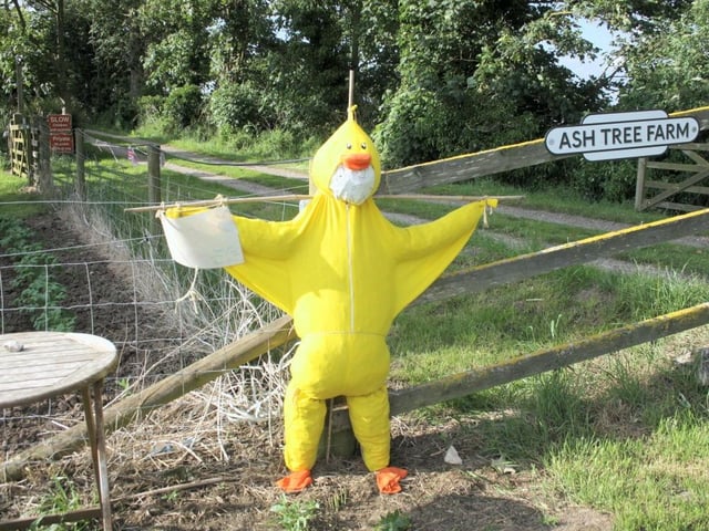 A 'quacking' entry in this year's Friskney Scarecrow Festival.