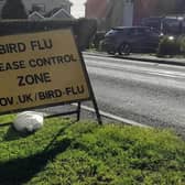 Deadly avian flu has been confirmed at a location near Skegness
