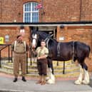 Bomber the Shire horse with his owners Eve Miller and Jon Davison at the screening of War Horse.