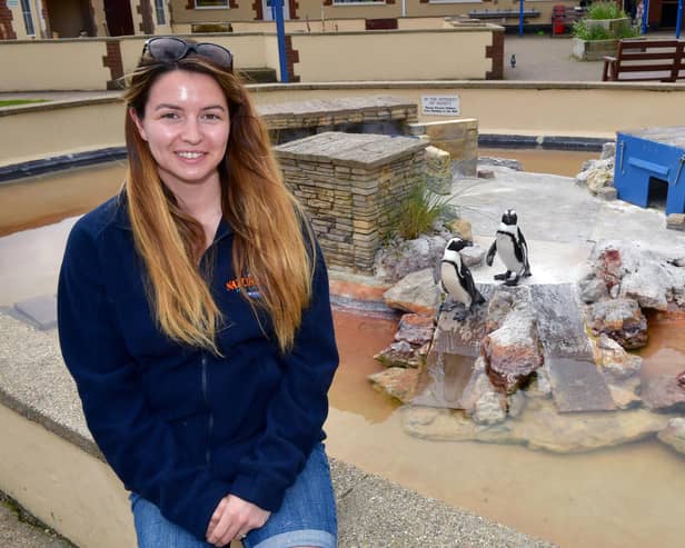 Director Daisy Yeadon with the penguins at Natureland in Skegness.
