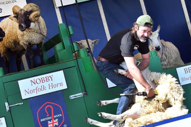 The sheep show at Woodhall Spa Country Show. Photos: Mick Fox