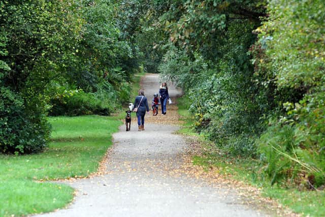 Be careful when walking your dog in the woods