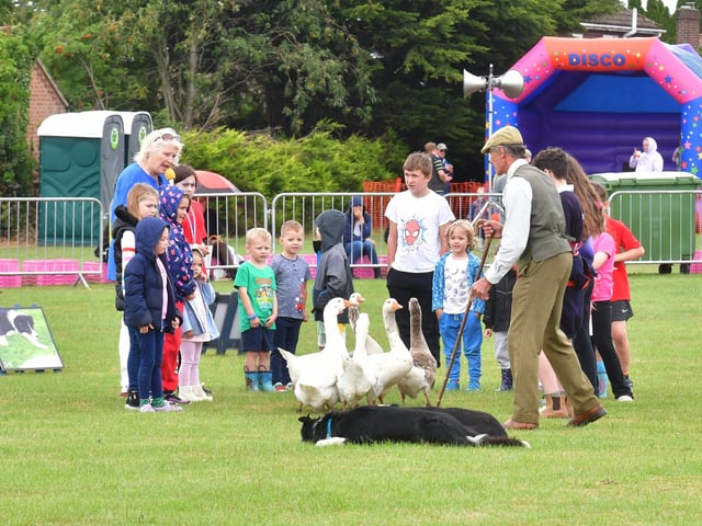 A sheepdog display from David Seamark.