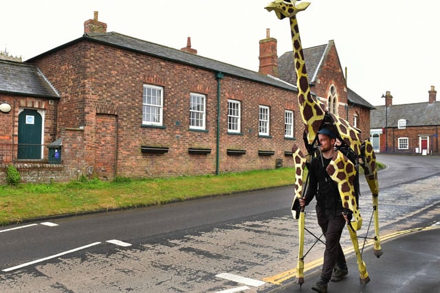 Sebastian Mayer' with  his life-size giraffe puppet Zarafa.