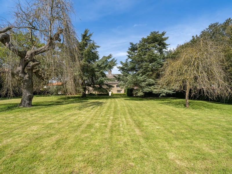The garden.