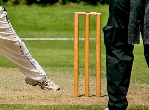 Cricket news.