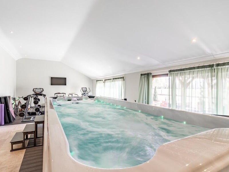 The swim spa and ...