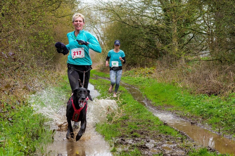 Making a splash - canicross runner Sarah Murdoch of Canicross Lincolnshire.