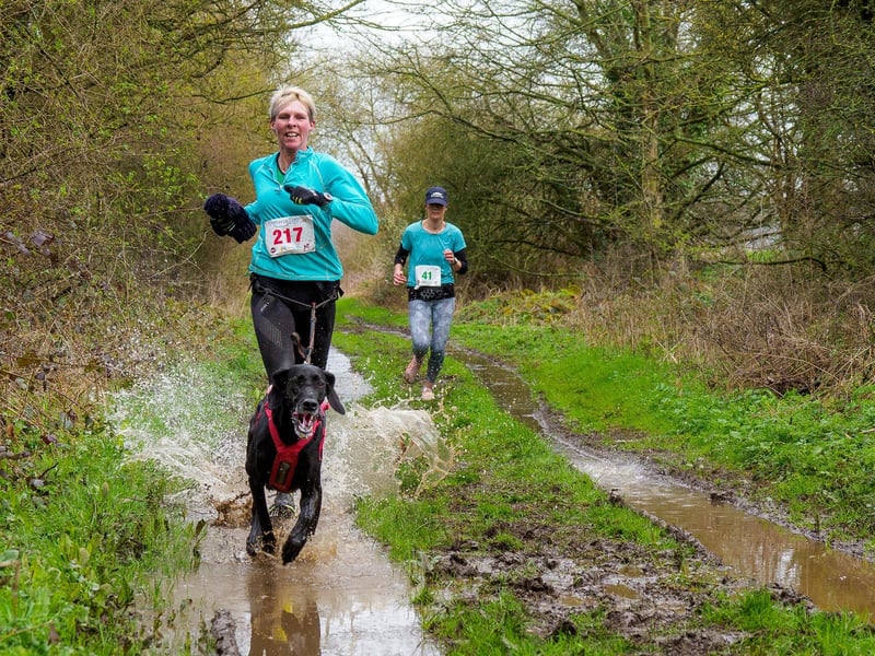 Making a splash - canicross runner Sarah Murdoch of Canicross Lincolnshire.