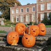 Pumpkins at Gunby, copyright National Trust.