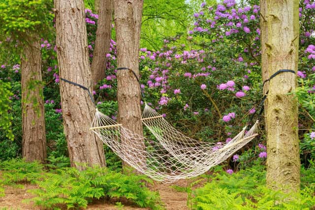 Chill out in the hammock.