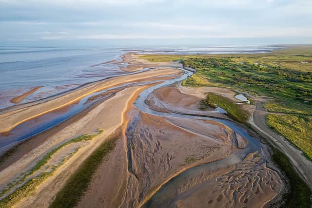 Micronclean has chosen this image of Gibraltar Point Nature Reserve to illustrate its Microngreen Report.