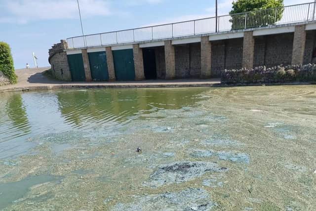 The southern end of Skegness Boating Lake. Credit: Facebook