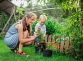 Experts at GardeningExpress.co.uk have selected their ten key tasks to complete in the garden this month.