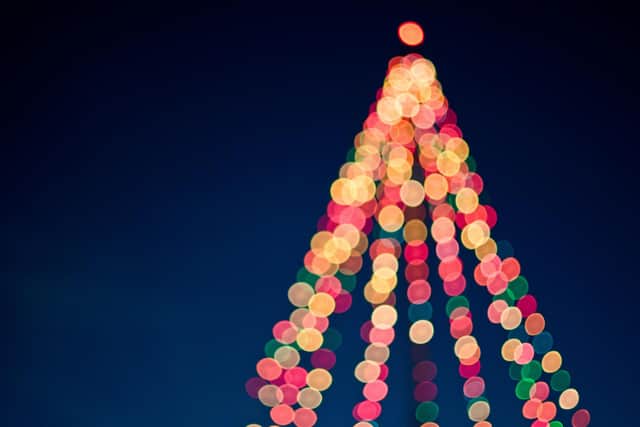 Christmas Magic comes to Chapel Garden Centre. Photo by Tim Mossholder on Pexels