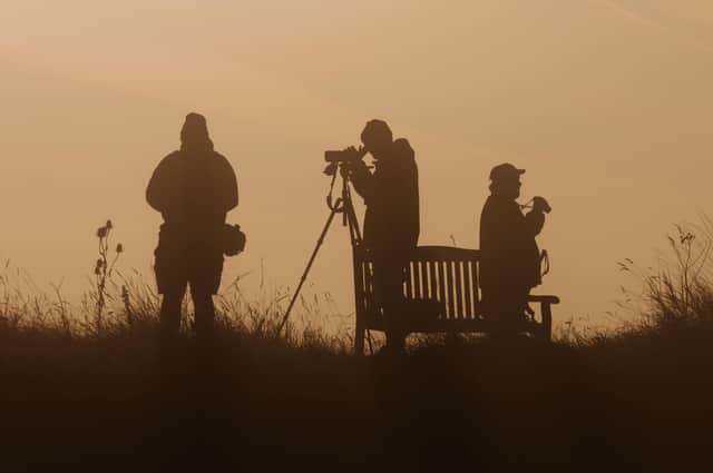 There are a variety of birdwatching events planned for RSPB Frampton Marsh throughout May.