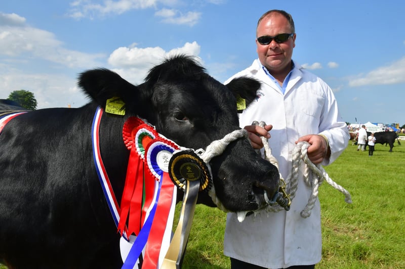 The Woldmarsh Grand Parade of Livestock. Dylan Townsend of Malton with his British Blue cow, British Blue Champion and Champion Inter Breed