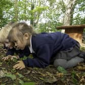 Boston Park Academy pupils get to grips with nature. Image: Allan McKenzie.