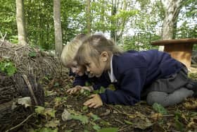 Boston Park Academy pupils get to grips with nature. Image: Allan McKenzie.
