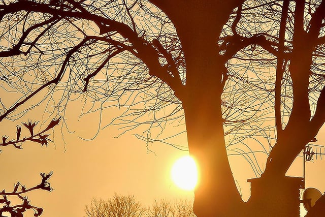 Janet Hughes was up bright and early to take this spectacular shot of a sunrise last week.