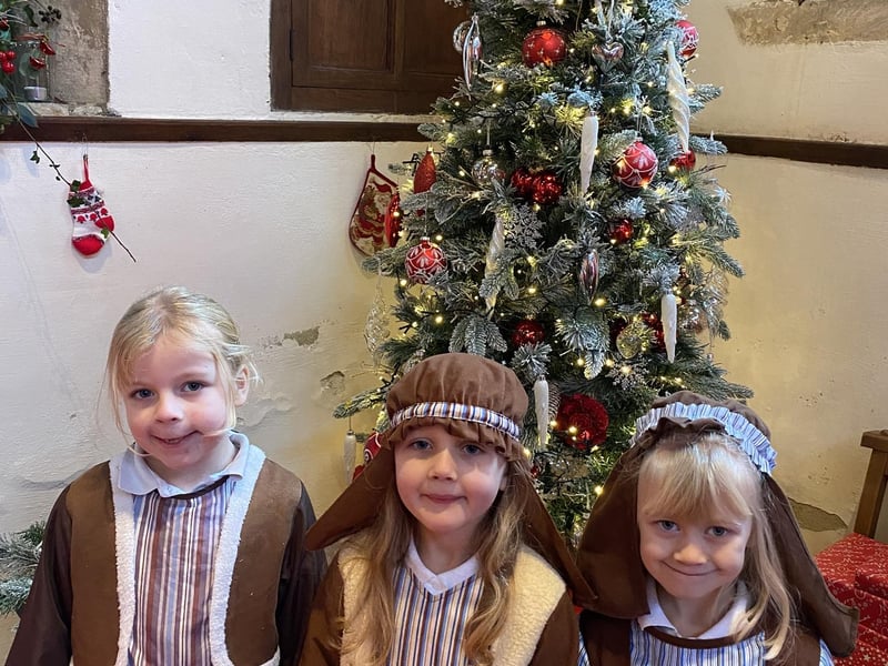Some of the children in Digby CofE School's Nativity play.