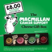 The Mouse House MacMillan Charity Box.