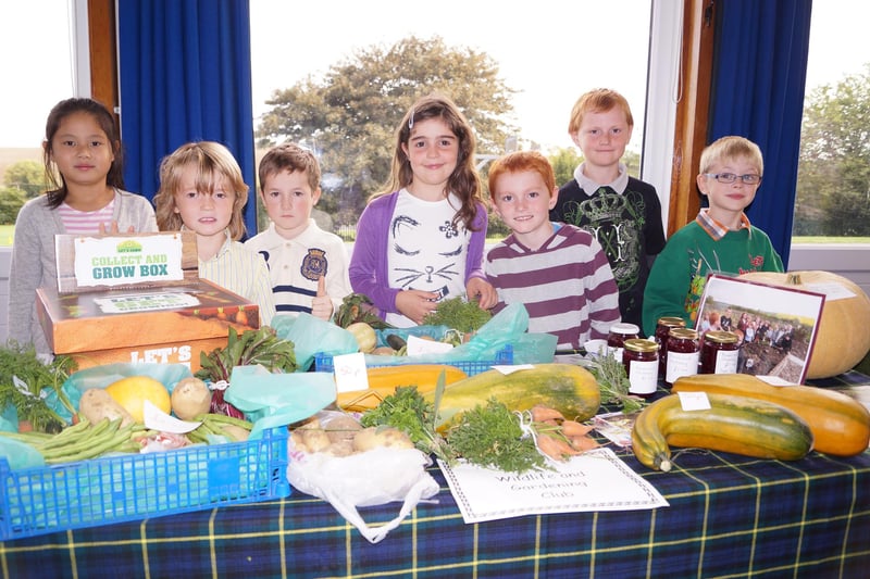 Members of Binbrook School's gardening and wildlife club are pictured marking harvest 2013. The group sold produce they had grown themselves to raise money for seeds and equipment.