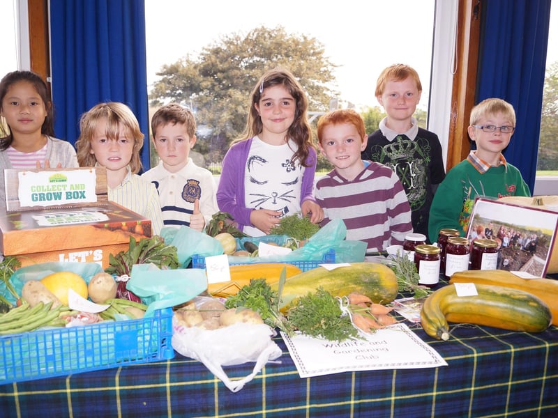 Members of Binbrook School's gardening and wildlife club are pictured marking harvest 2013. The group sold produce they had grown themselves to raise money for seeds and equipment.