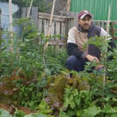 Notice to quit: Donovan Caton has an allotment full of crops which will be lost if he has   to move off the site in a few weeks. Image: Dianne Tuckett