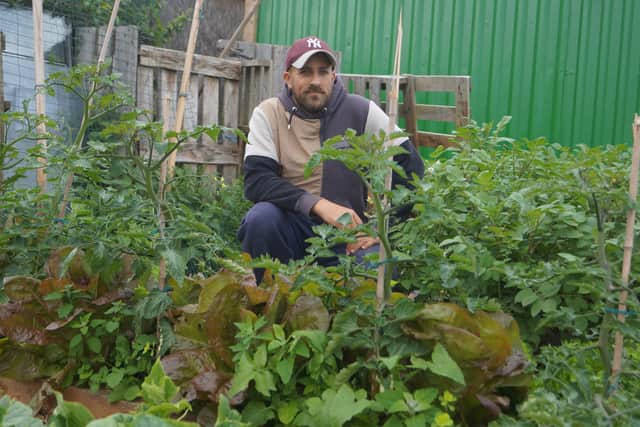 Notice to quit: Donovan Caton has an allotment full of crops which will be lost if he has to move off the site in a few weeks. Image: Dianne Tuckett